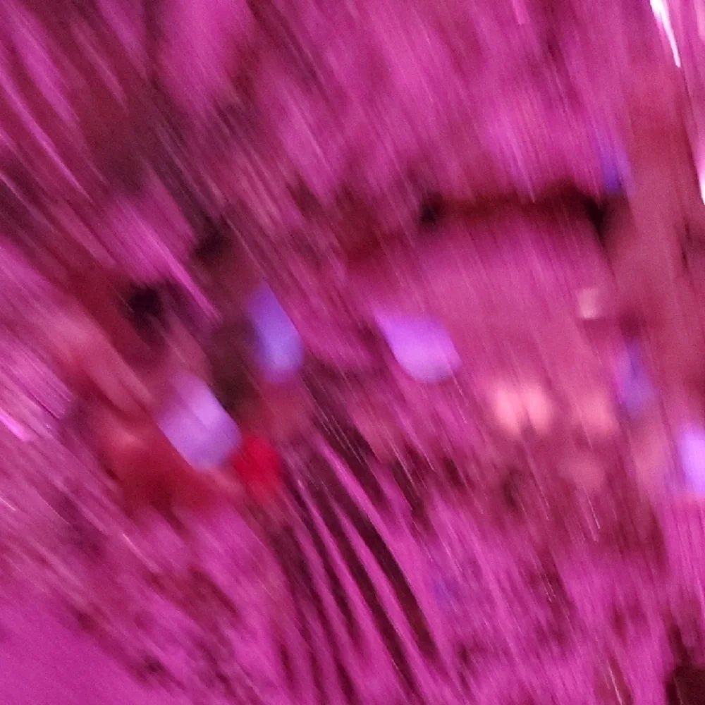 Chico's Magenta Sequin Floral Rayon Blend Blouse - Picture 4 of 8